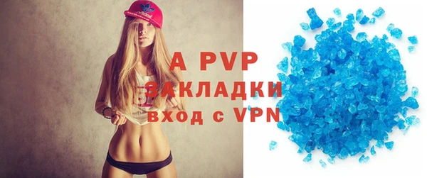 дживик Бородино