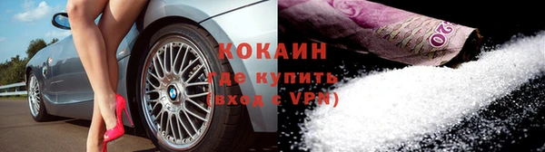 дживик Бородино