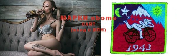 дживик Бородино