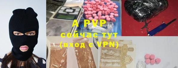 дживик Бородино