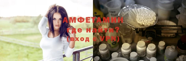 дживик Бородино