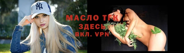 дживик Бородино