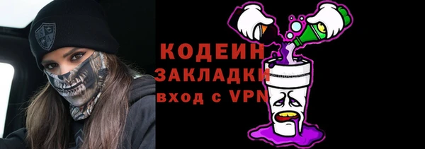 дживик Бородино