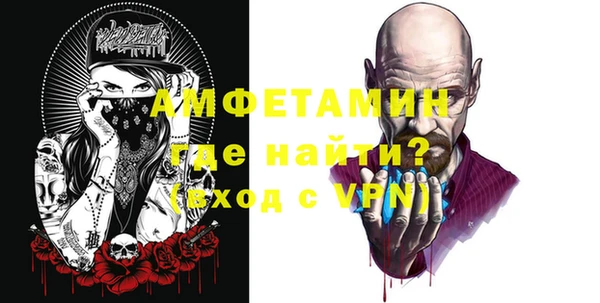 дживик Бородино